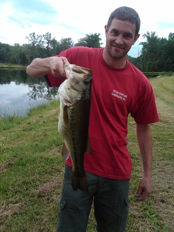 NY Pig near Hillside Lake