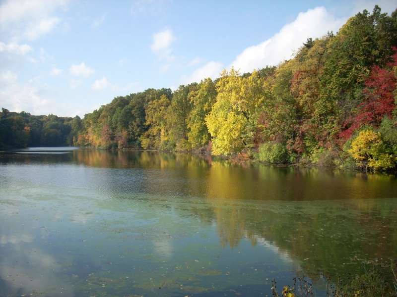 Gorgeous in the fall! near Hilton