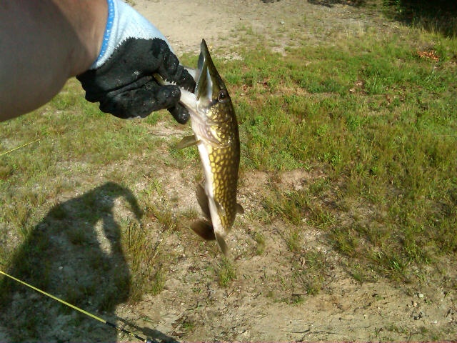 Ames Long Pond