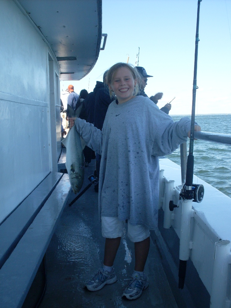 Bluefish caught at Plum Gut near Greenport West