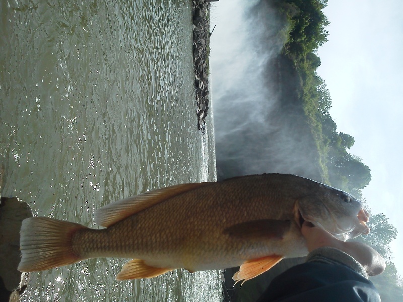 Bergen fishing photo 5