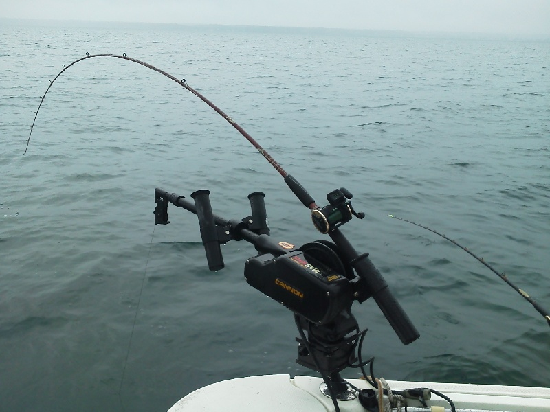 Albion fishing photo 2