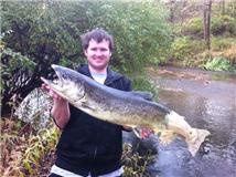 ZOMBIE SALMON near Rochester