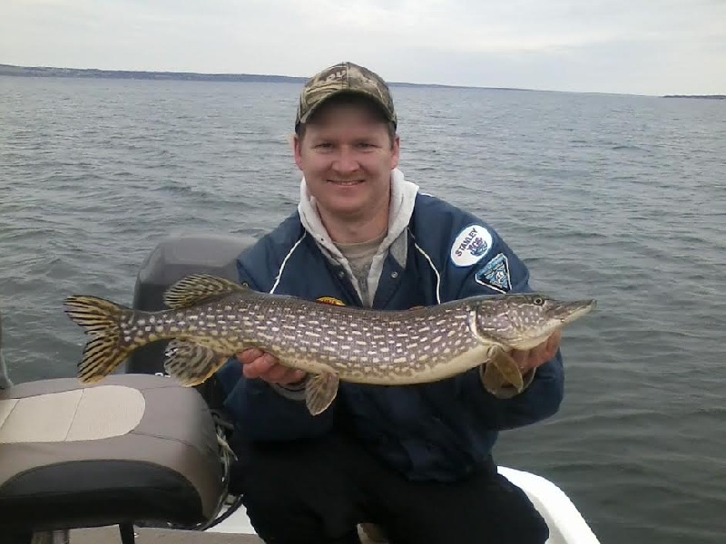 Northern Pike near Clyde