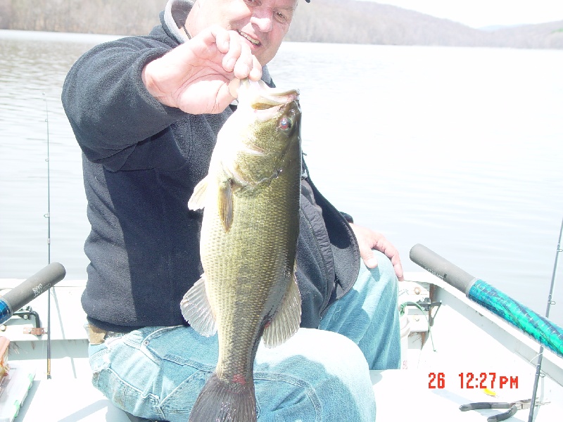 SMALLMOUTH BASS near Brewster Hill