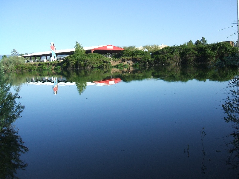 Gate 5 Pond