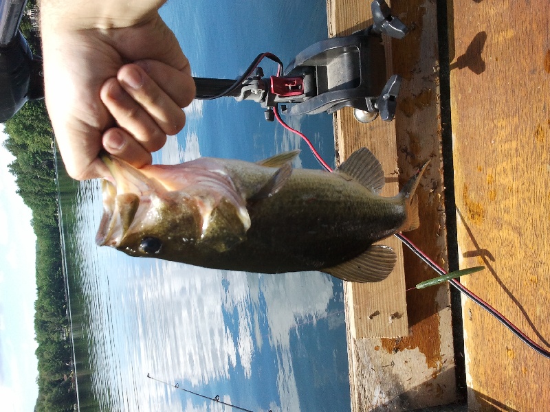 Babcock Lake 7/2/11 LMB near Averill Park