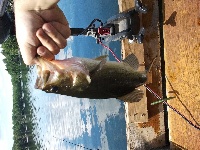 Babcock Fishing Report