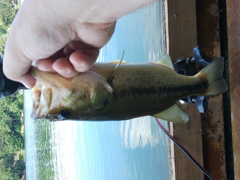 Babcock Lake 7/2/11 LMB near Valley Falls