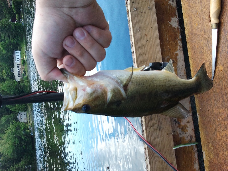 Babcock Lake 7/2/11 LMB near Hoosick Falls