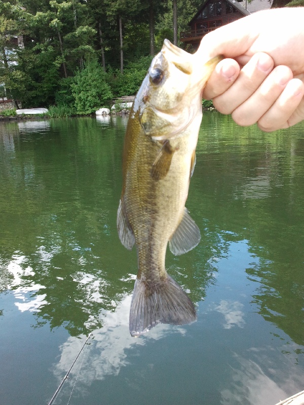 LMB near Valley Falls