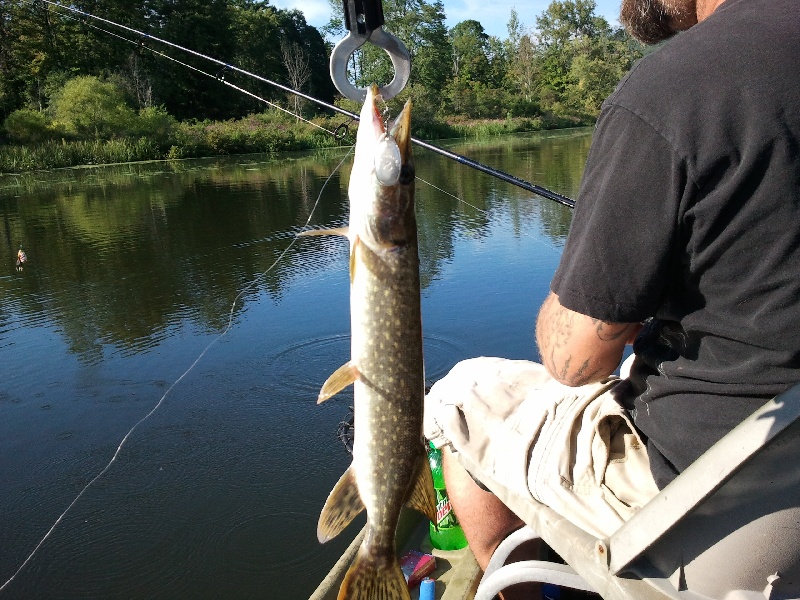 The Pike? near East Nassau