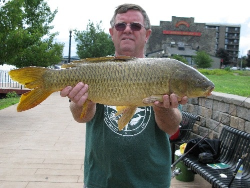 Ogdensburg near Waddington