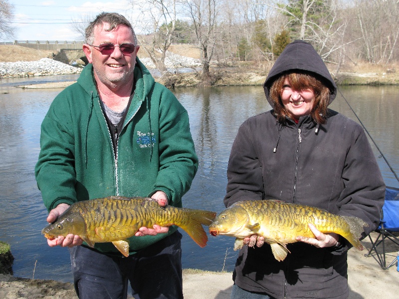 Mirror Carp