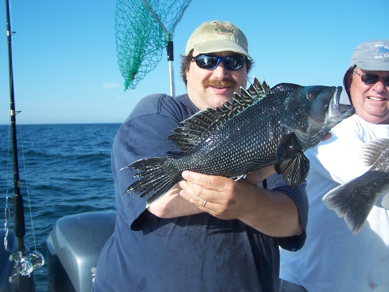 Black Sea Bass