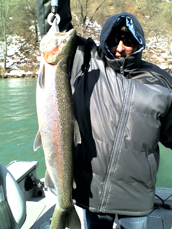 Lower Niagara River, NY Fishing Report - NY Fish Finder