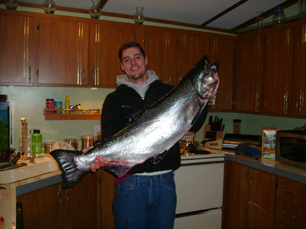 Fall Chinook