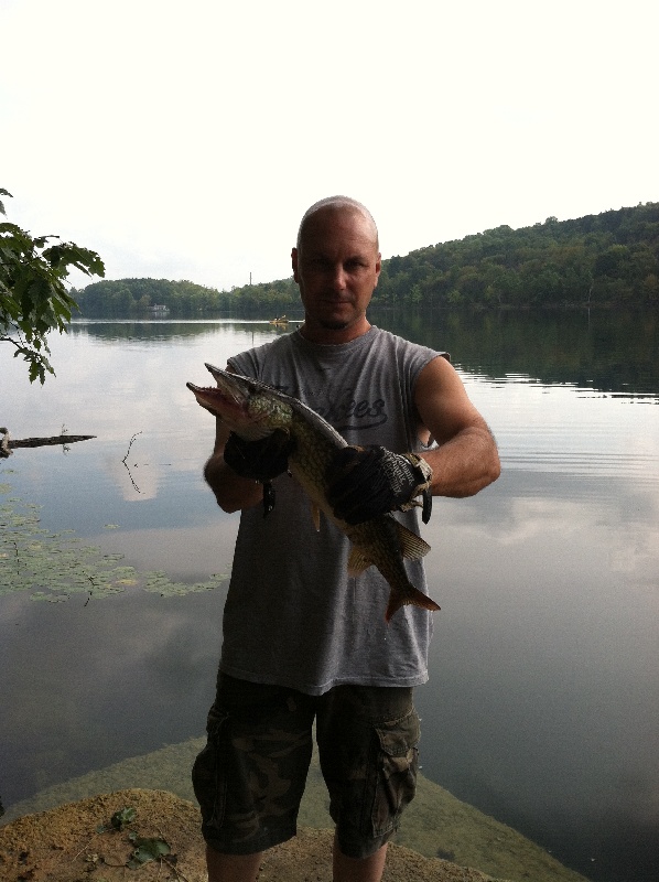 23 inches nice pickerel