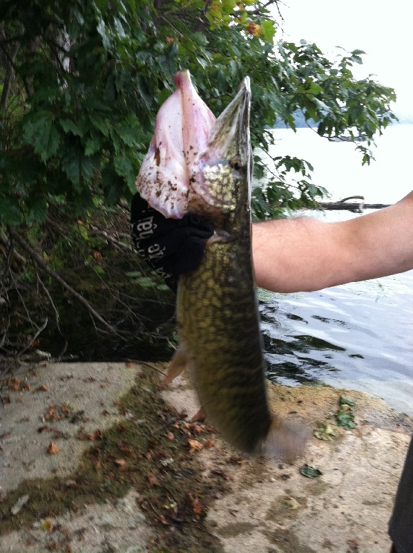 great day for fishing