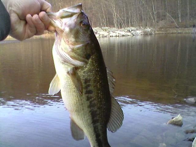 Manhattan Community Board 6 fishing photo 4