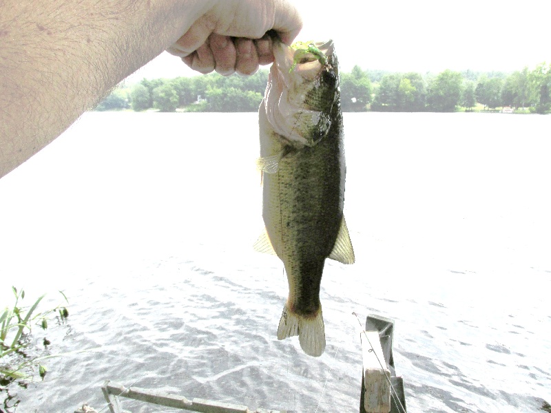 Holiday Lake near Otisville