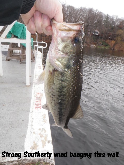 Cupsaw Lake near South Blooming Grove