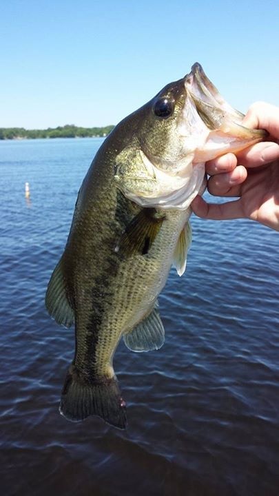 Black Lake Large Mouth rodeo!