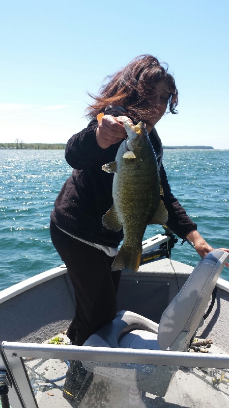 trout browns and lakers near Sackets Harbor