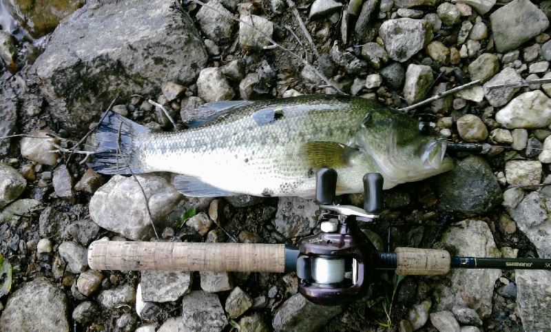 Lake Carmel fishing photo 5