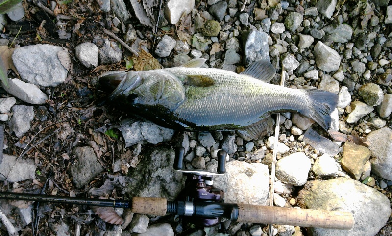 Lake Carmel fishing photo 2