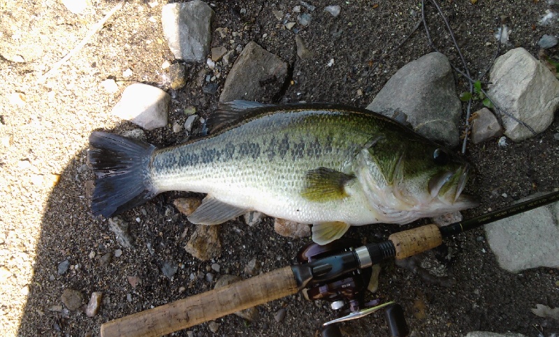 Lake Carmel fishing photo 4