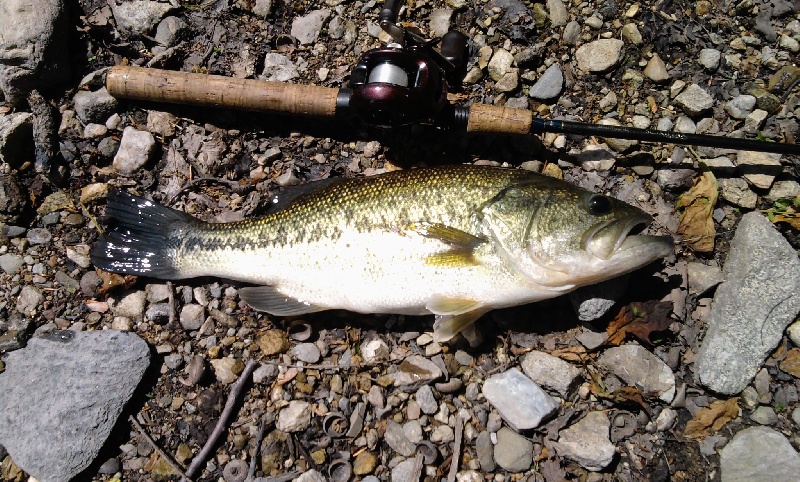 Lake Carmel fishing photo 3