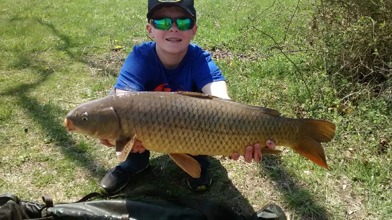 Carp #2