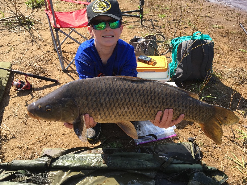 Carp #7