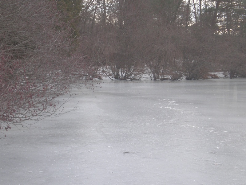 fun fishing hole frozen over