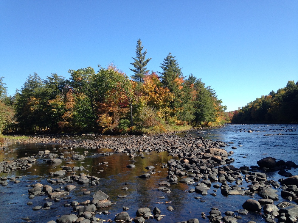 North Branch confluence  near Star Lake