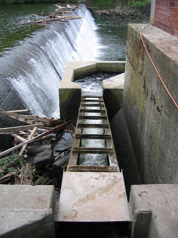 Mianus River Fishway near Mill Neck