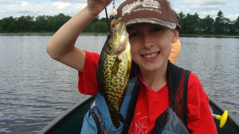 Black Crappie