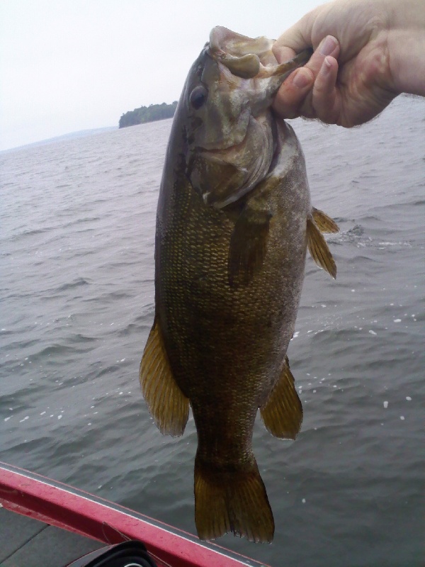 Champlain smallie near Plattsburgh