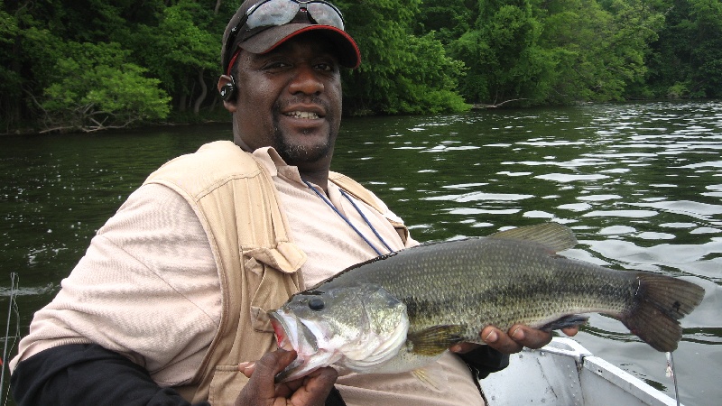 LM BASS   4 LBS   near Yorktown Heights