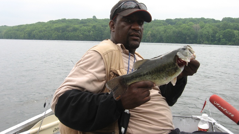 LM  BASS   3LBS near Yorktown Heights