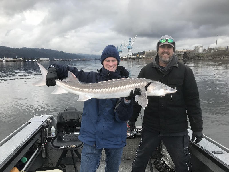 4 ft White Sturgeon