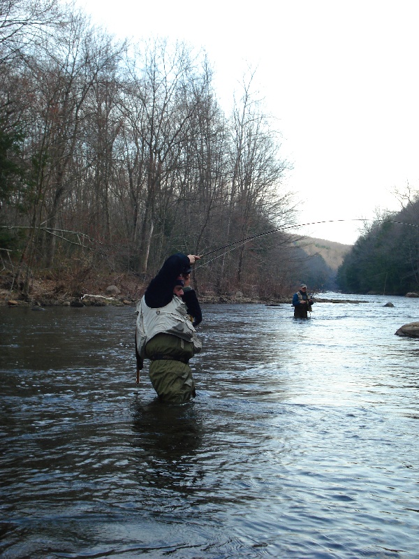 mighty fight on the fly rod