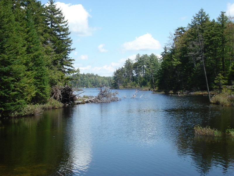 Tupper Lake fishing photo 3