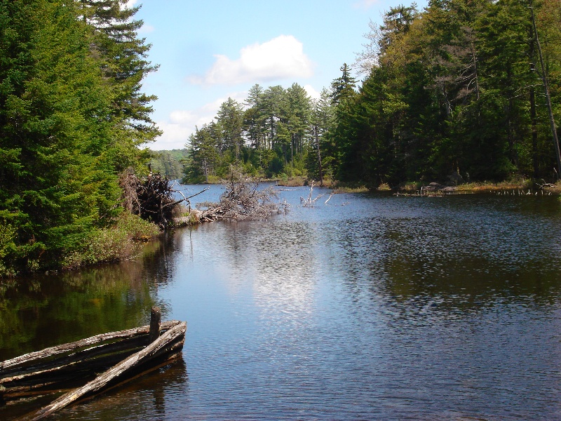 Tupper Lake fishing photo 1