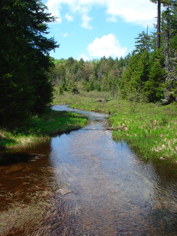 Tupper Lake fishing photo 4