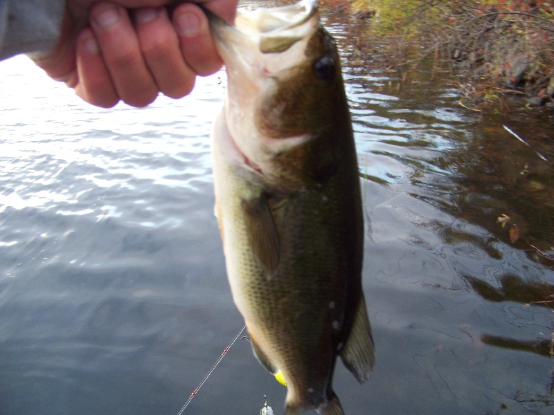 Amenia fishing photo 3