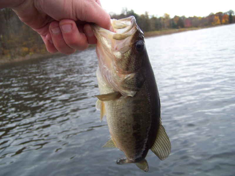 Staatsburg fishing photo 4