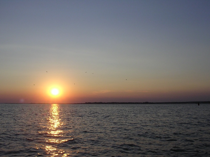 Cutchogue fishing photo 4