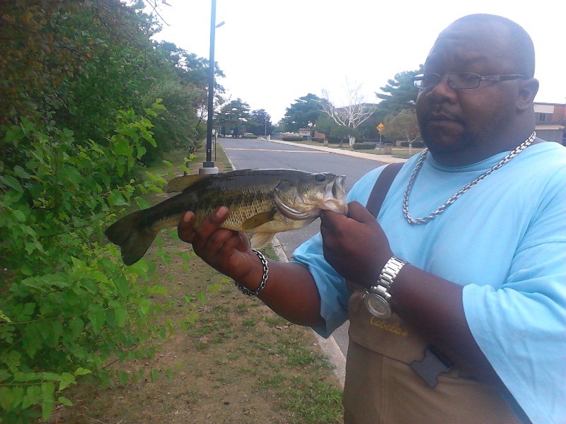 Small pond bassin